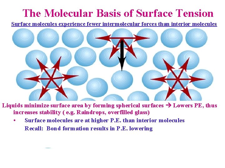 The Molecular Basis of Surface Tension Surface molecules experience fewer intermolecular forces than interior