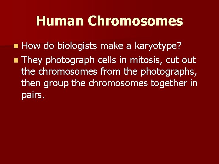 Human Chromosomes n How do biologists make a karyotype? n They photograph cells in