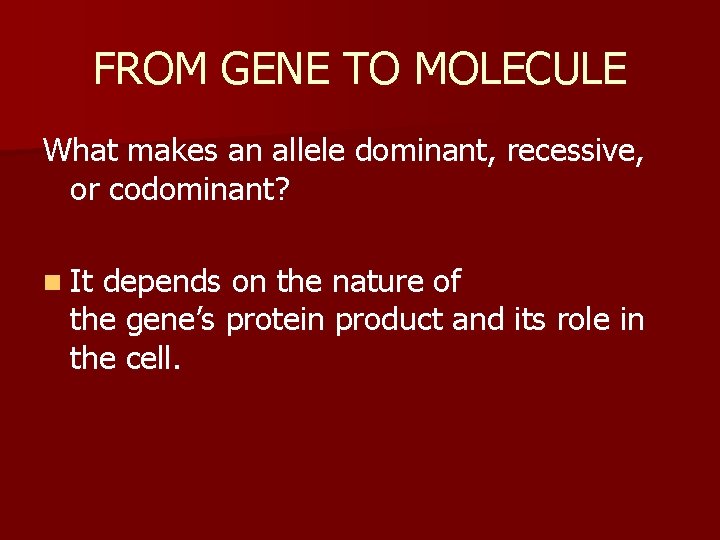 FROM GENE TO MOLECULE What makes an allele dominant, recessive, or codominant? n It