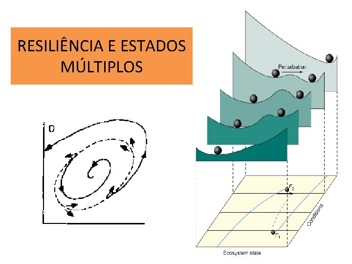 RESILIÊNCIA E ESTADOS MÚLTIPLOS 
