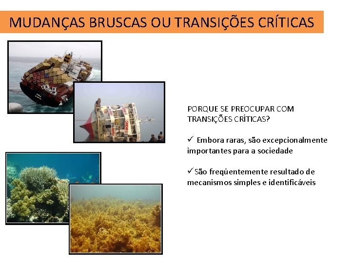 MUDANÇAS BRUSCAS OU TRANSIÇÕES CRÍTICAS PORQUE SE PREOCUPAR COM TRANSIÇÕES CRÍTICAS? ü Embora raras,