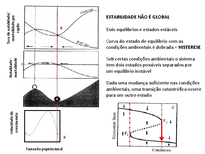 K Dois equilíbrios e estados estáveis Curva do estado de equilíbrio com as condições