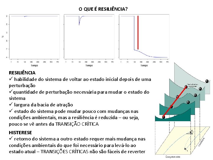 O QUE É RESILIÊNCIA? RESILIÊNCIA ü habilidade do sistema de voltar ao estado inicial