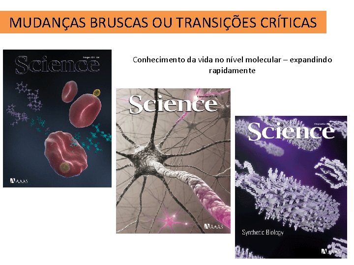 MUDANÇAS BRUSCAS OU TRANSIÇÕES CRÍTICAS Conhecimento da vida no nível molecular – expandindo rapidamente