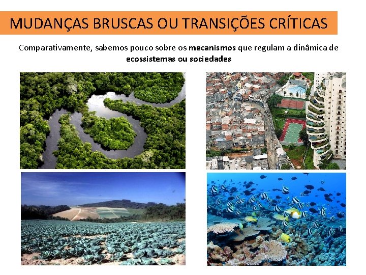 MUDANÇAS BRUSCAS OU TRANSIÇÕES CRÍTICAS Comparativamente, sabemos pouco sobre os mecanismos que regulam a