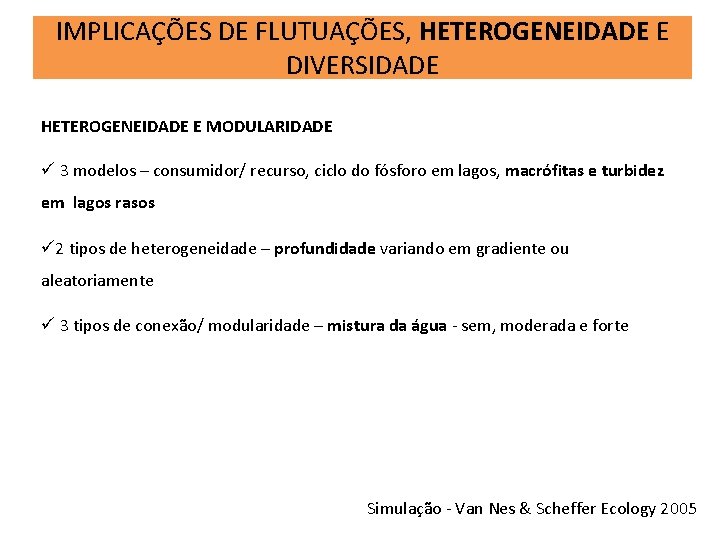 IMPLICAÇÕES DE FLUTUAÇÕES, HETEROGENEIDADE E DIVERSIDADE HETEROGENEIDADE E MODULARIDADE ü 3 modelos – consumidor/