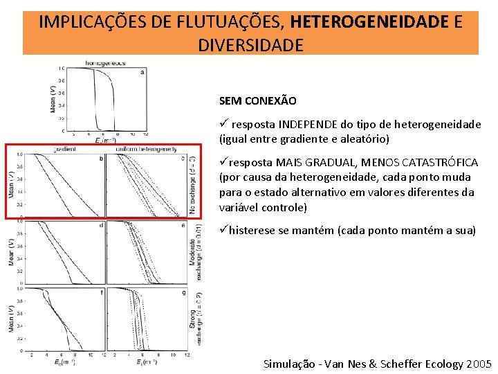 IMPLICAÇÕES DE FLUTUAÇÕES, HETEROGENEIDADE E DIVERSIDADE SEM CONEXÃO ü resposta INDEPENDE do tipo de