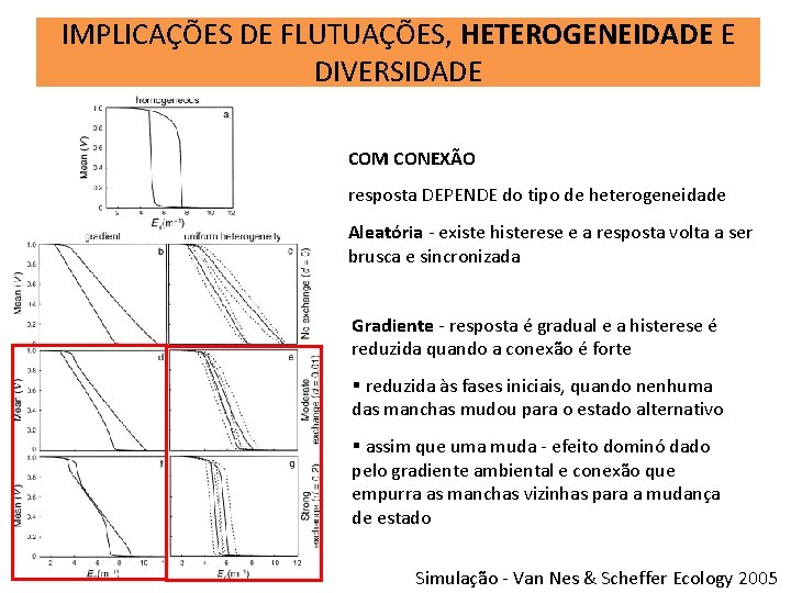 IMPLICAÇÕES DE FLUTUAÇÕES, HETEROGENEIDADE E DIVERSIDADE COM CONEXÃO resposta DEPENDE do tipo de heterogeneidade