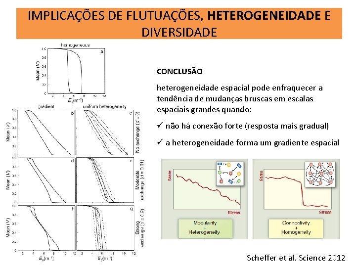 IMPLICAÇÕES DE FLUTUAÇÕES, HETEROGENEIDADE E DIVERSIDADE CONCLUSÃO heterogeneidade espacial pode enfraquecer a tendência de