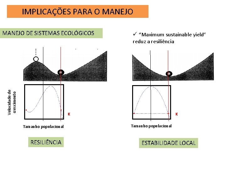 IMPLICAÇÕES PARA O MANEJO Velocidade de crescimento MANEJO DE SISTEMAS ECOLÓGICOS ü “Maximum sustainable