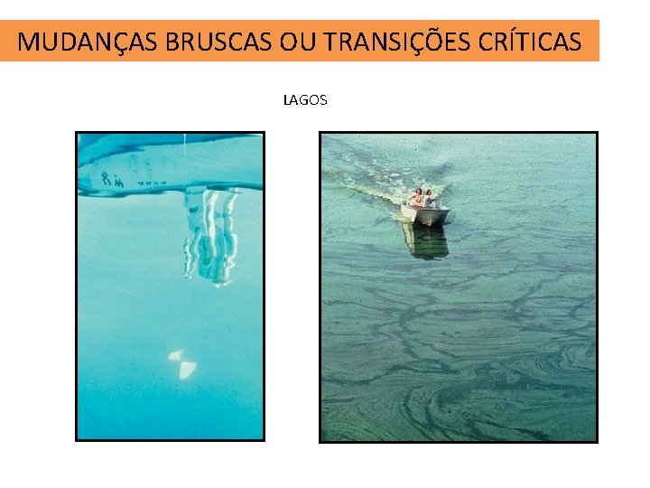 MUDANÇAS BRUSCAS OU TRANSIÇÕES CRÍTICAS LAGOS 