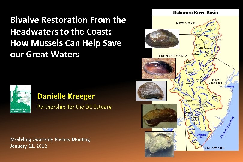 Bivalve Restoration From the Headwaters to the Coast: How Mussels Can Help Save our