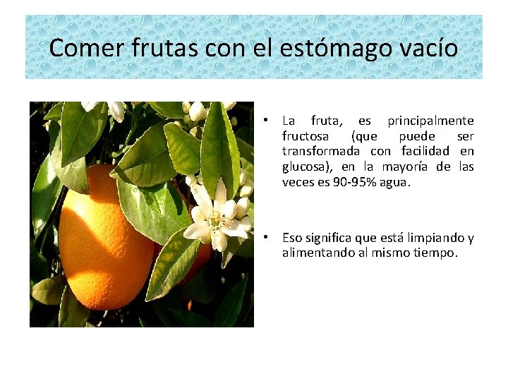 Comer frutas con el estómago vacío • La fruta, es principalmente fructosa (que puede