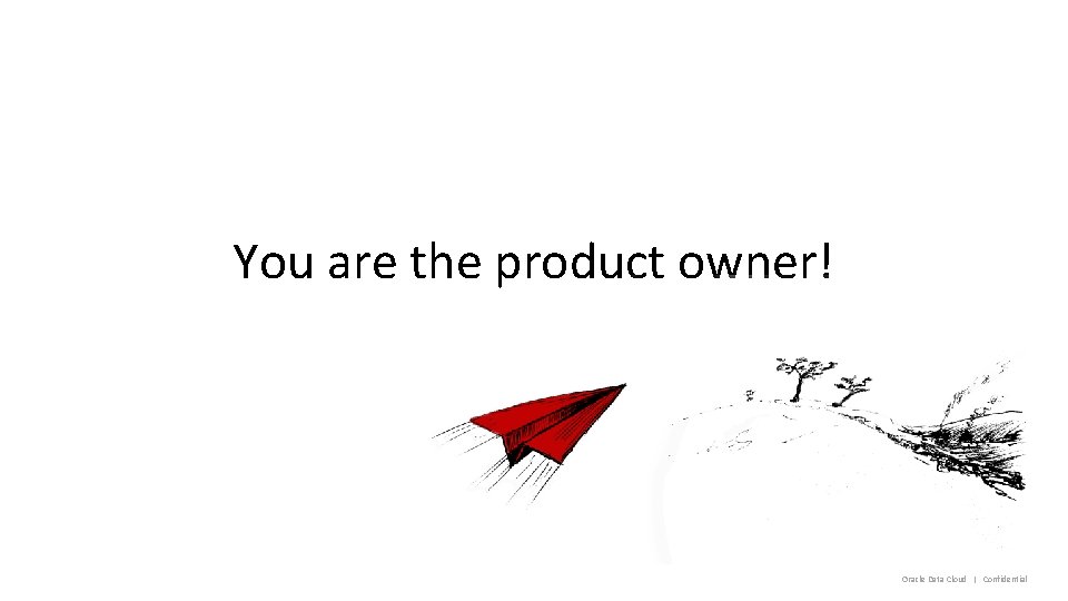 You are the product owner! Oracle Data Cloud | Confidential 