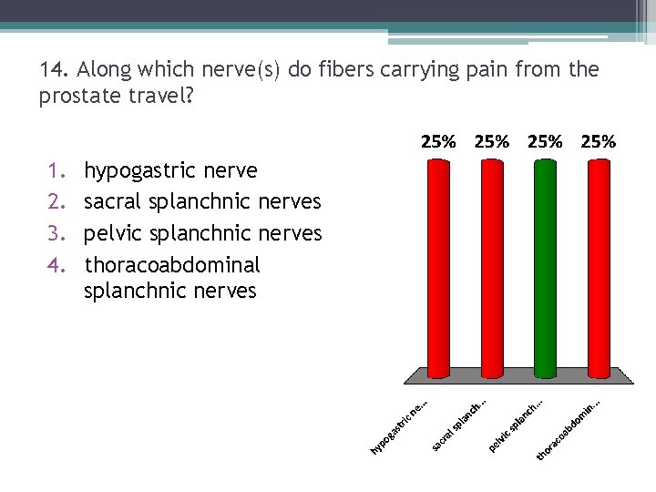 14. Along which nerve(s) do fibers carrying pain from the prostate travel? 1. 2. 14. Along which nerve(s) do fibers carrying pain from the prostate travel? 1. 2.