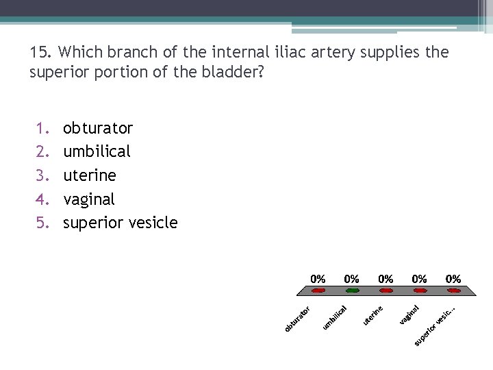 15. Which branch of the internal iliac artery supplies the superior portion of the 15. Which branch of the internal iliac artery supplies the superior portion of the