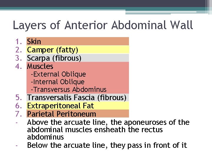 Layers of Anterior Abdominal Wall 1. 2. 3. 4. Skin Camper (fatty) Scarpa (fibrous) Layers of Anterior Abdominal Wall 1. 2. 3. 4. Skin Camper (fatty) Scarpa (fibrous)