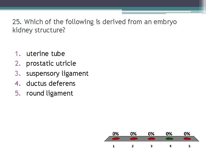 25. Which of the following is derived from an embryo kidney structure? 1. 2. 25. Which of the following is derived from an embryo kidney structure? 1. 2.