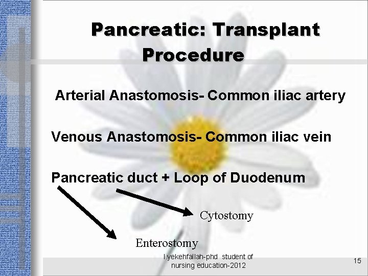 Pancreatic: Transplant Procedure Arterial Anastomosis- Common iliac artery Venous Anastomosis- Common iliac vein Pancreatic