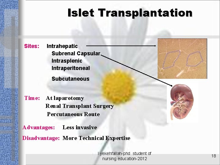 Islet Transplantation Sites: Intrahepatic Subrenal Capsular Intrasplenic Intraperitoneal Subcutaneous Time: At laparotomy Renal Transplant