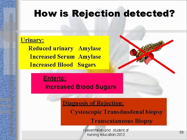 How is Rejection detected? Urinary: Reduced urinary Amylase Increased Serum Amylase Increased Blood Sugars