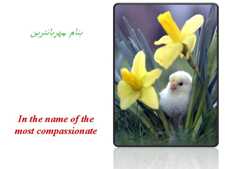  ﺑﻨﺎﻡ ﻣﻬﺮﺑﺎﻧﺘﺮﻳﻦ In the name of the most compassionate 