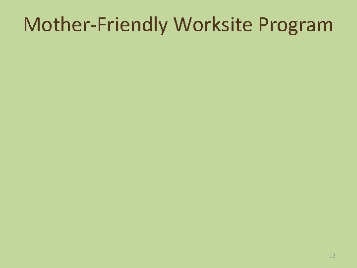 Mother-Friendly Worksite Program 12 