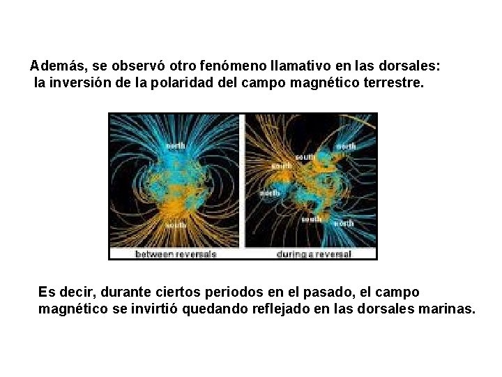 Además, se observó otro fenómeno llamativo en las dorsales: la inversión de la polaridad