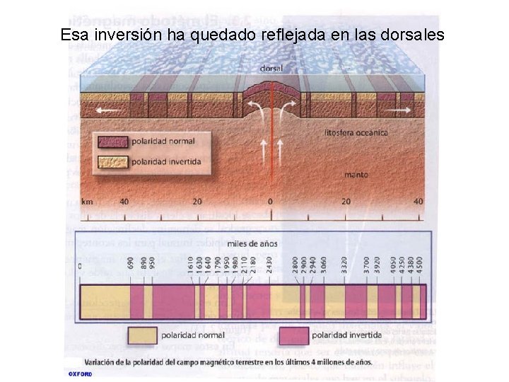 Esa inversión ha quedado reflejada en las dorsales 