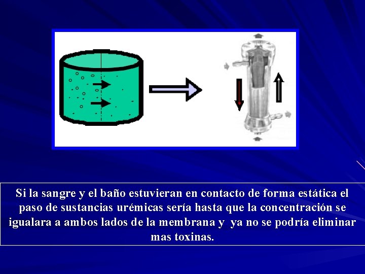 Si la sangre y el baño estuvieran en contacto de forma estática el paso