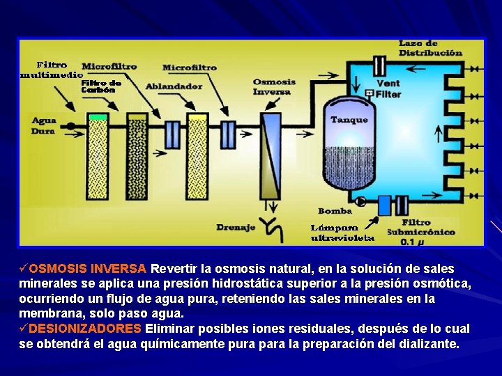 üOSMOSIS INVERSA Revertir la osmosis natural, en la solución de sales minerales se aplica