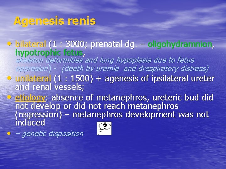 Agenesis renis • bilateral (1 : 3000; prenatal dg. – oligohydramnion, hypotrophic fetus, skeleton