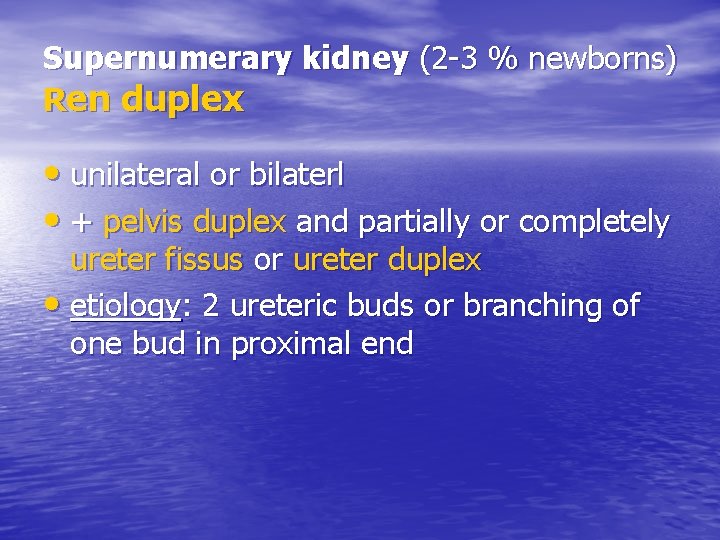 Supernumerary kidney (2 -3 % newborns) Ren duplex • unilateral or bilaterl • +