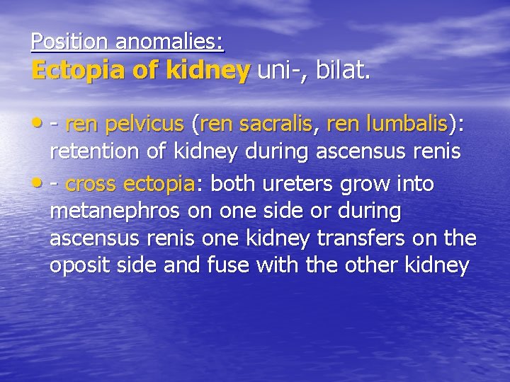 Position anomalies: Ectopia of kidney uni-, bilat. • - ren pelvicus (ren sacralis, ren