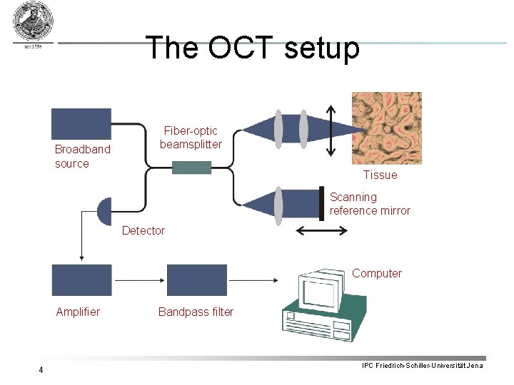 The OCT setup Broadband source Fiber-optic beamsplitter Tissue Scanning reference mirror Detector Computer Amplifier