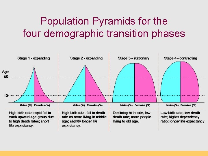Population Pyramids for the four demographic transition phases 