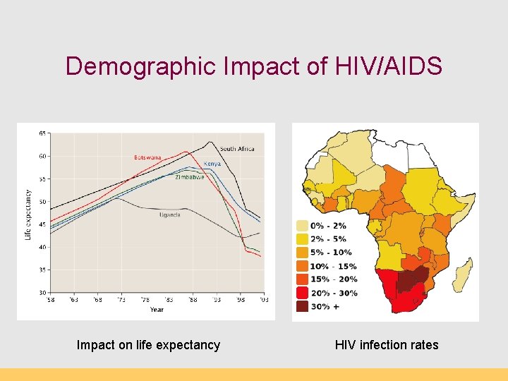 Demographic Impact of HIV/AIDS Impact on life expectancy HIV infection rates 