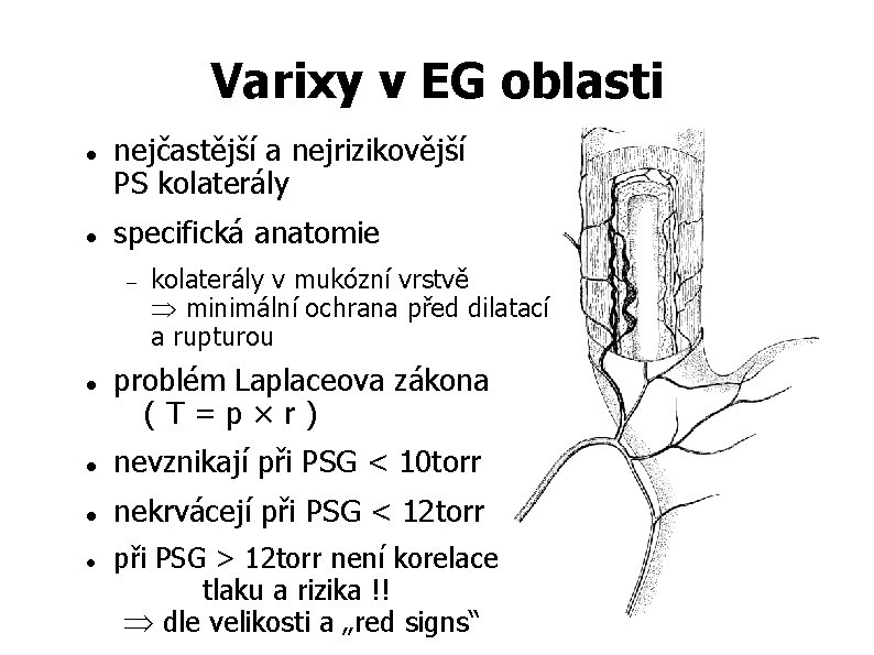 Varixy v EG oblasti nejčastější a nejrizikovější PS kolaterály specifická anatomie kolaterály v mukózní