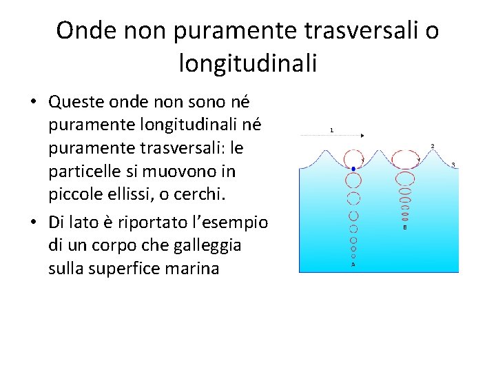 Onde non puramente trasversali o longitudinali • Queste onde non sono né puramente longitudinali