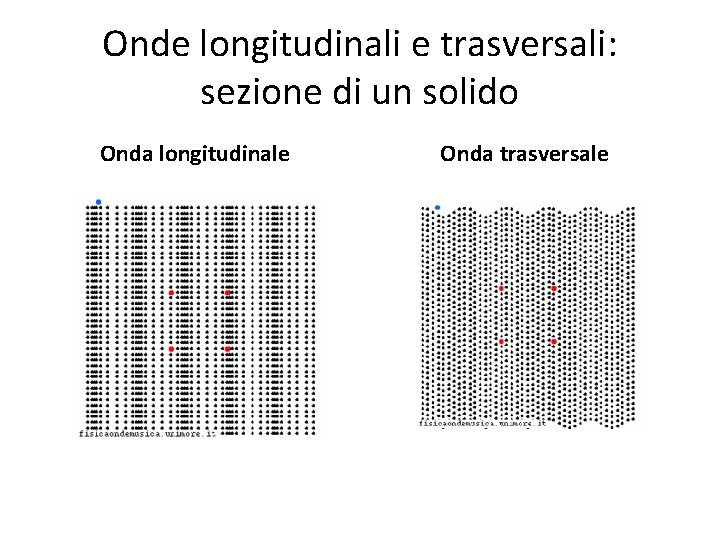 Onde longitudinali e trasversali: sezione di un solido Onda longitudinale Onda trasversale 