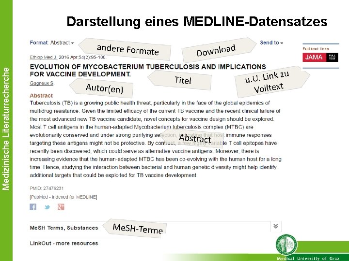 Medizinische Literaturrecherche Darstellung eines MEDLINE-Datensatzes 