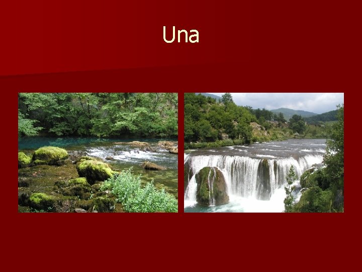 Una 