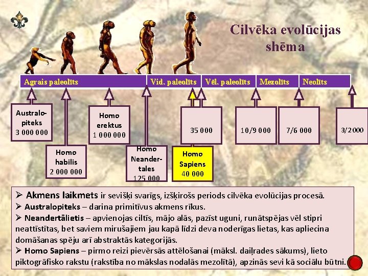 Cilvēka evolūcijas shēma Agrais paleolīts Australopiteks 3 000 Vid. paleolīts Homo erektus 1 000