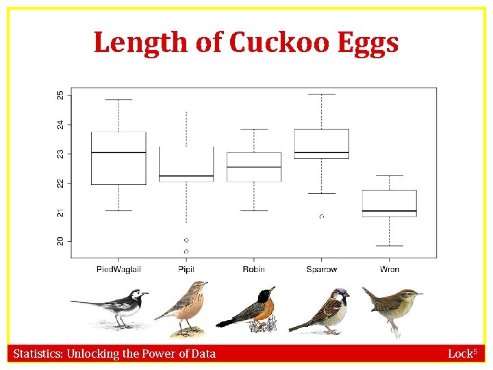 Length of Cuckoo Eggs Statistics: Unlocking the Power of Data Lock 5 