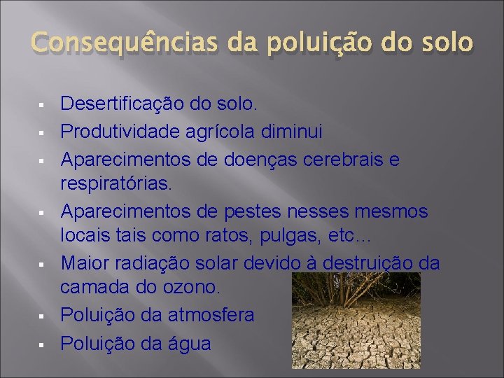 Consequências da poluição do solo § § § § Desertificação do solo. Produtividade agrícola