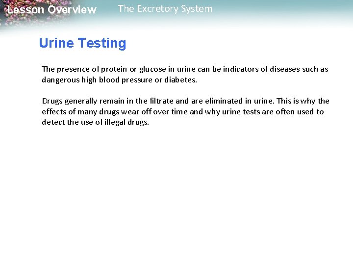 Lesson Overview The Excretory System Urine Testing The presence of protein or glucose in