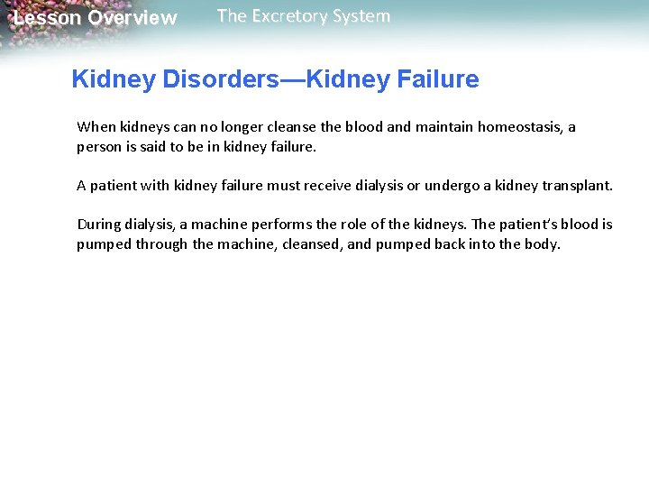 Lesson Overview The Excretory System Kidney Disorders—Kidney Failure When kidneys can no longer cleanse