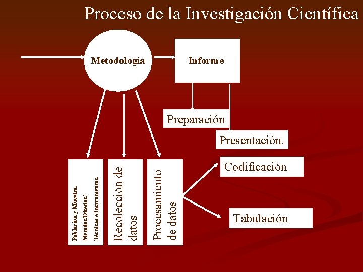 Proceso de la Investigación Científica Metodología Informe Preparación Procesamiento de datos Recolección de datos