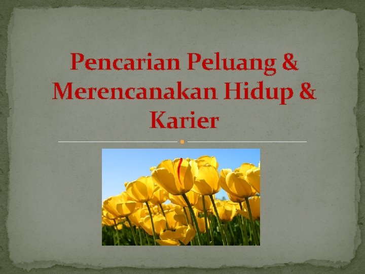 Pencarian Peluang & Merencanakan Hidup & Karier 