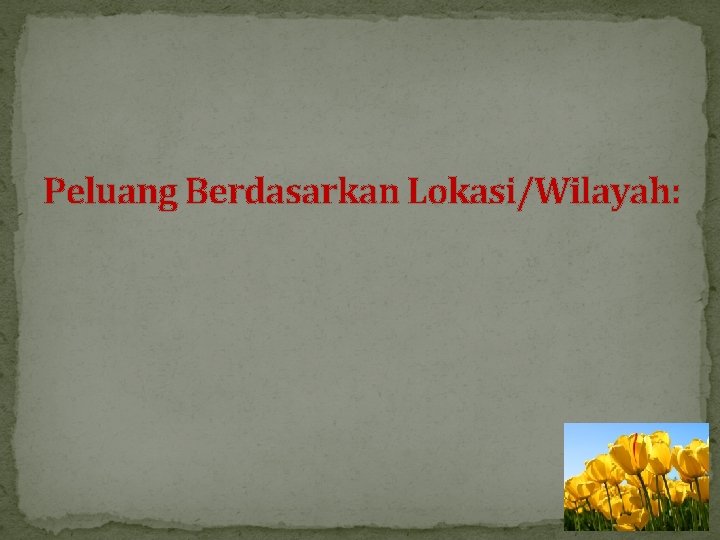Peluang Berdasarkan Lokasi/Wilayah: 